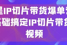 0基础学明星IP切片带货 全流程实操到爆单系统教程