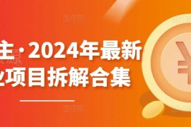 2024年黄岛主副业项目拆解合集 多平台变现玩法无水印教程