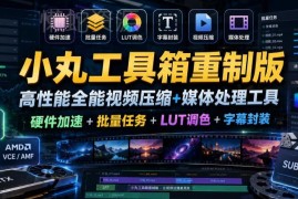 小丸工具箱重制版介绍 免费高性能全能视频媒体处理工具指南