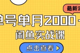 闲鱼虚拟资料变现实操教程 新手日入500全流程保姆级讲解