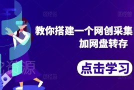 2024网创采集自动发布加网盘转存系统完整搭建实操教程