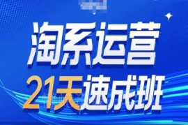 淘系运营21天速成班第34期 2025搜索玩法及流量趋势解析