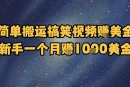 海外平台搬运无版权搞笑视频 新手操作可月入1000美金