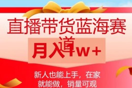 视频号直播带货蓝海赛道实操指南 新人零基础居家可做收益可观