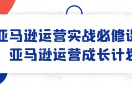 亚马逊运营全流程实战必修课 新手从入门到进阶成长指南