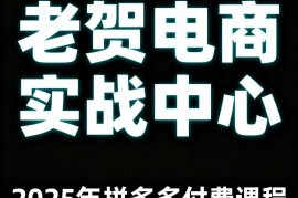 2025年老贺拼多多运营付费课程 通俗讲解平台全阶段实操玩法