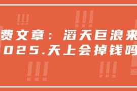 2025年经济形势与非AI风口研判 各群体抓机遇增收实操指南