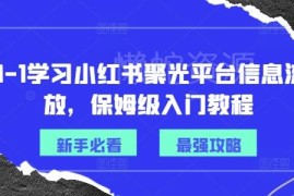 从0到1学小红书聚光平台信息流投放 保姆级入门实操教程