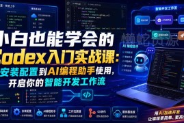 零基础Codex入门实战教程 从安装配置到AI编程助手使用全指南