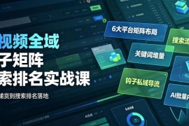 短视频全域钩子矩阵搜索排名实战课 多平台布局AI批量提效