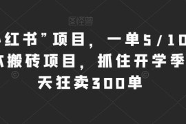 仿小红书风格抖音图文带货项目 开学季0成本搬砖玩法解析