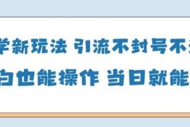 合规国学类引流玩法详解 小白易上手不封号当日即可变现