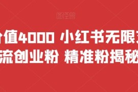 首发小红书无限艾特引流创业精准粉教程 附配套协议工具