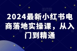 2024最新小红书电商落地实操课 从入门到精通全流程教学
