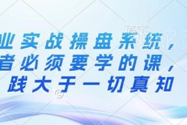 20年创业经验提炼实战操盘系统 创业者必修实操课程