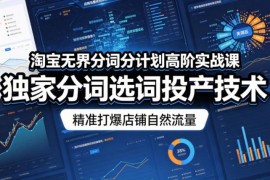 淘宝无界分词计划高阶实战课 精准选词优化打爆店铺自然流量
