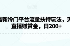2024视频号冷门流量扶持玩法 无人游戏直播赚赏金实操指南