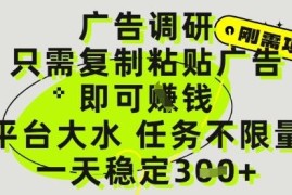 广告调研类零撸副业玩法揭秘 复制粘贴即可做任务赚收益