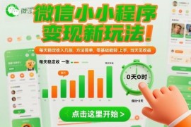 微信小程序变现实用新玩法 零基础易上手空闲时间即可赚收益