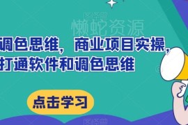 达芬奇调色实操教程 从软件操作到商业项目思维全打通