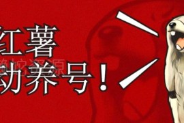 小红书养号完整实操攻略 打标签涨粉打造高权重账号实用方法