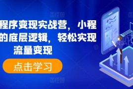 抖音小程序变现实战营教程 掌握底层逻辑实现流量变现