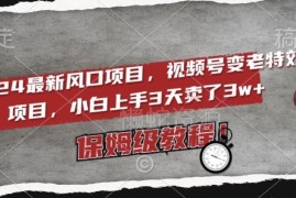2024视频号变老特效变现项目教程 新手低门槛实操玩法详解
