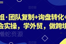 外贸跨境实操课 团队搭建询盘转化展会运营全流程教学