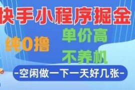 快手小程序0撸赚钱项目详解 无需养机单价高空闲时间可做
