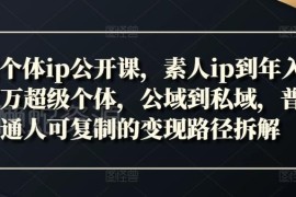 2024新个体IP公开课 素人到年入百万超级个体变现路径拆解