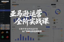2026年2月更新亚马逊全阶运营课 从账号安全到品牌搭建全教程