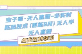 宝子哥无人半无人直播非实时防风技术实战教程 更新至2025年12月