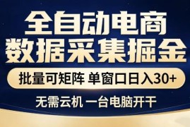 无需云机全自动电商数据掘金项目 单台电脑可批量矩阵操作