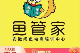 闲鱼开店三天实操核心课程 零基础入门全流程运营干货教程