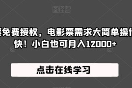 抖音电影票免费授权项目玩法解析 小白勤快操作可月入过万