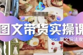 2023抖音图文带货实操教程 从账号搭建到运营全流程攻略