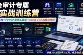财会审计专属AI实战训练营 学习AI协同编程及审计工具VBA落地方法