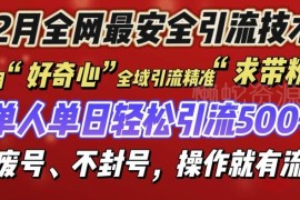 2024年12月安全引流创业粉技巧 低风险不封号实操方法分享