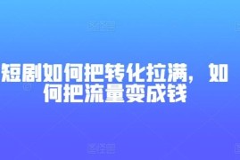 短剧项目如何拉满转化效率 实用技巧帮你把流量变成收益