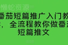 番茄短篇推广入门教程 新手推文实操全流程玩法教学