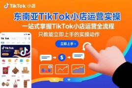 东南亚TikTok小店运营实操教程 从零掌握开店选品全流程