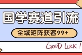 抖音小红书国学赛道引流玩法 自动矩阵日引200+实操教程