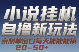 小说挂机赚钱新玩法实测 单窗口日入20-50可矩阵批量操作