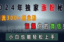 2024创业粉引流实操教程 小白可上手日引300+私域涨粉方法