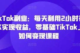 零基础TikTok运营变现全教程 每天2小时做TK副业获收益