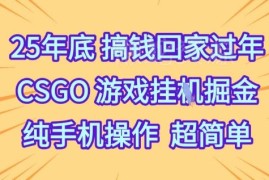 2025年底增收项目：CSGO饰品全自动捡漏纯手机操作玩法解析