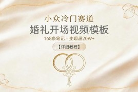 冷门小众婚礼开场视频模板赛道 变现超20万玩法详细教程