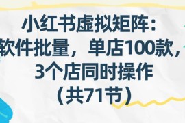 小红书虚拟矩阵实操教程 批量发笔记多店运营副业课程共71节