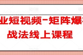 企业短视频矩阵爆客战法线上课程 从0到1落地运营获客指南