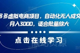 2024拼多多虚拟电商项目详解 低风险可复制单店月入可达3000